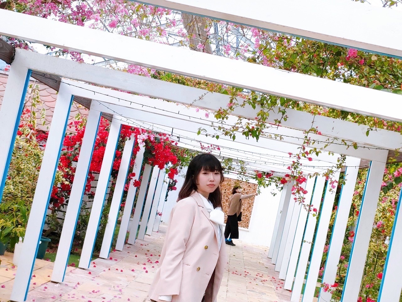 メインビジュアル